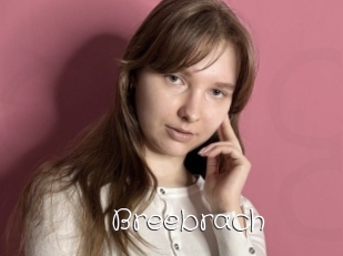 Breebrach