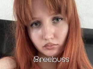 Breebuss