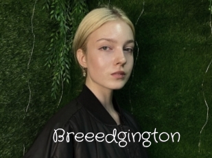 Breeedgington