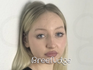 Breefudge