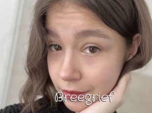 Breegrief