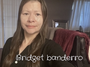 Bridget_banderro