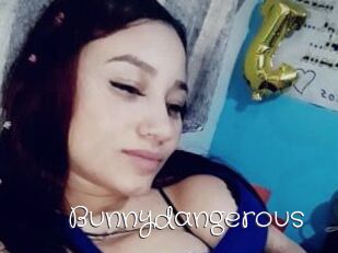 Bunnydangerous