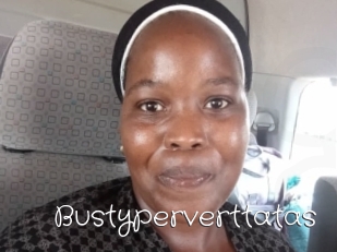 Bustyperverttatas