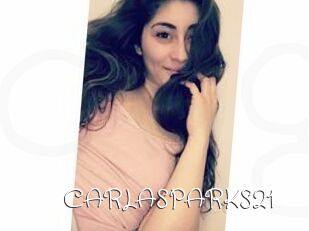 CARLA_SPARKS21