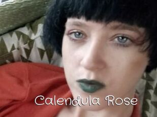 Calendula_Rose