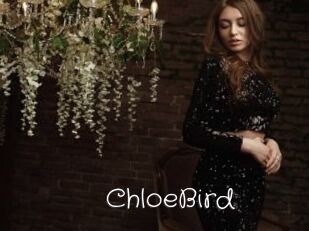 ChloeBird