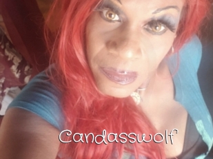 Candasswolf