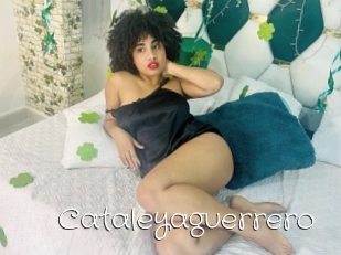 Cataleyaguerrero