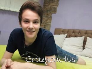 Crazycactus