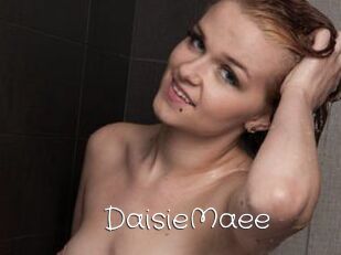 DaisieMaee