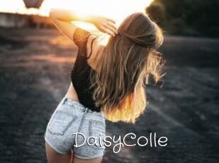 DaisyColle