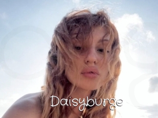 Daisyburge