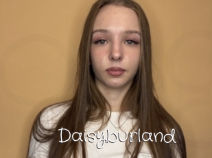 Daisyburland