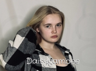 Daisygambee