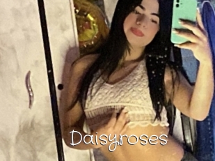 Daisyroses