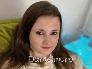 Dantelmure