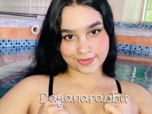 Dayanarabbit