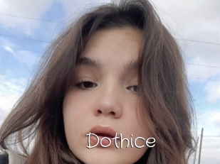 Dothice