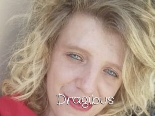 Dragibus