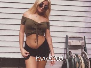 EvieCat