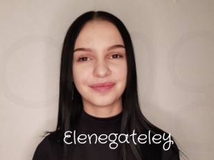 Elenegateley
