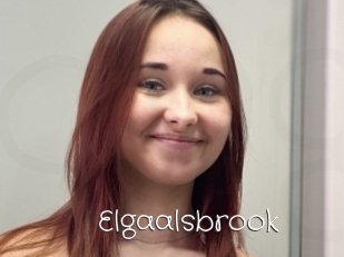 Elgaalsbrook