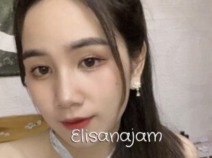 Elisanajam