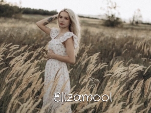 Elizamool