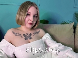 Ellydestiny
