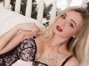 Ellykey