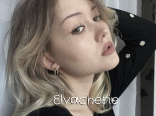 Elvacherie