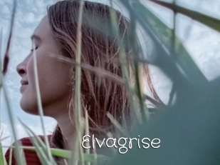 Elvagrise
