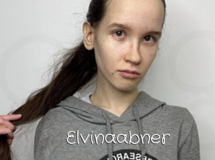 Elvinaabner