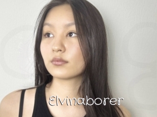 Elvinaborer