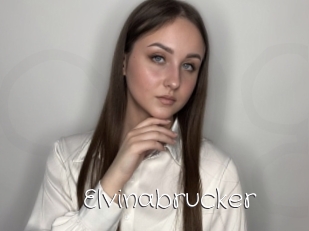 Elvinabrucker