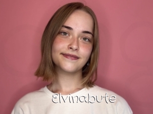 Elvinabute