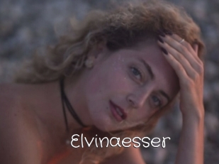 Elvinaesser