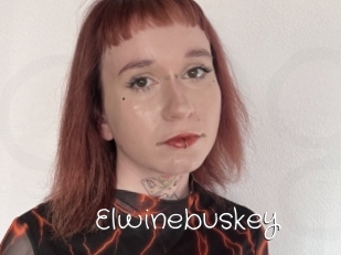 Elwinebuskey