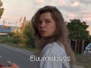 Elwinebuss