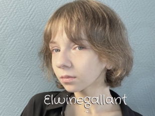 Elwinegallant