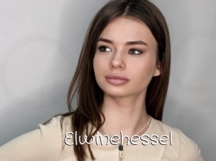 Elwinehessel