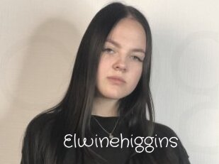 Elwinehiggins