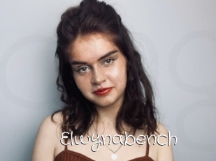 Elwynabench
