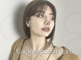 Elwynagallamore