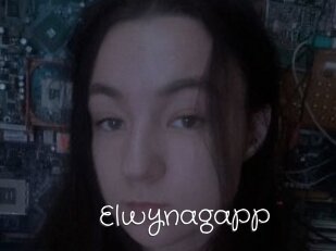 Elwynagapp