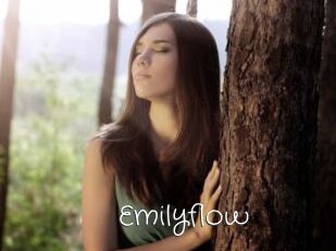 Emilyflow