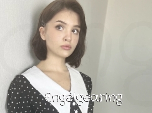 Engelgearing