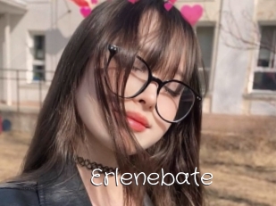 Erlenebate