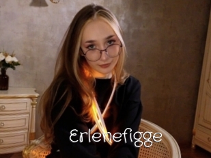 Erlenefigge